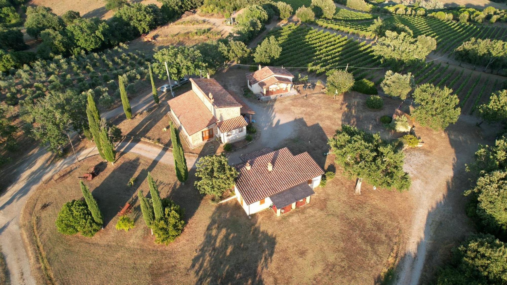 Agriturismo Belvedere Di Pierini E Brugi Campagnatico Exteriör bild