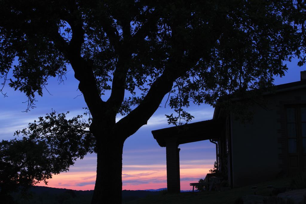 Agriturismo Belvedere Di Pierini E Brugi Campagnatico Rum bild