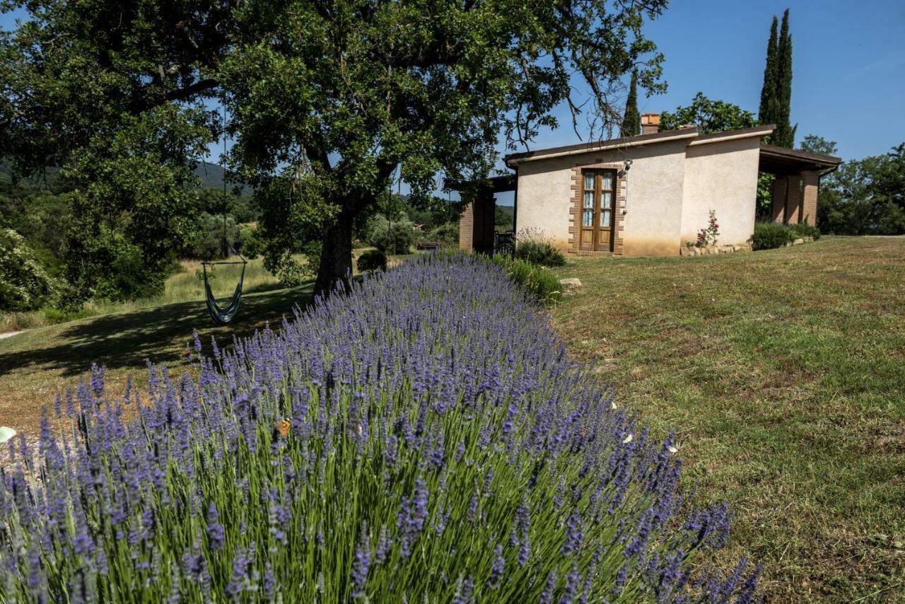 Agriturismo Belvedere Di Pierini E Brugi Campagnatico Exteriör bild